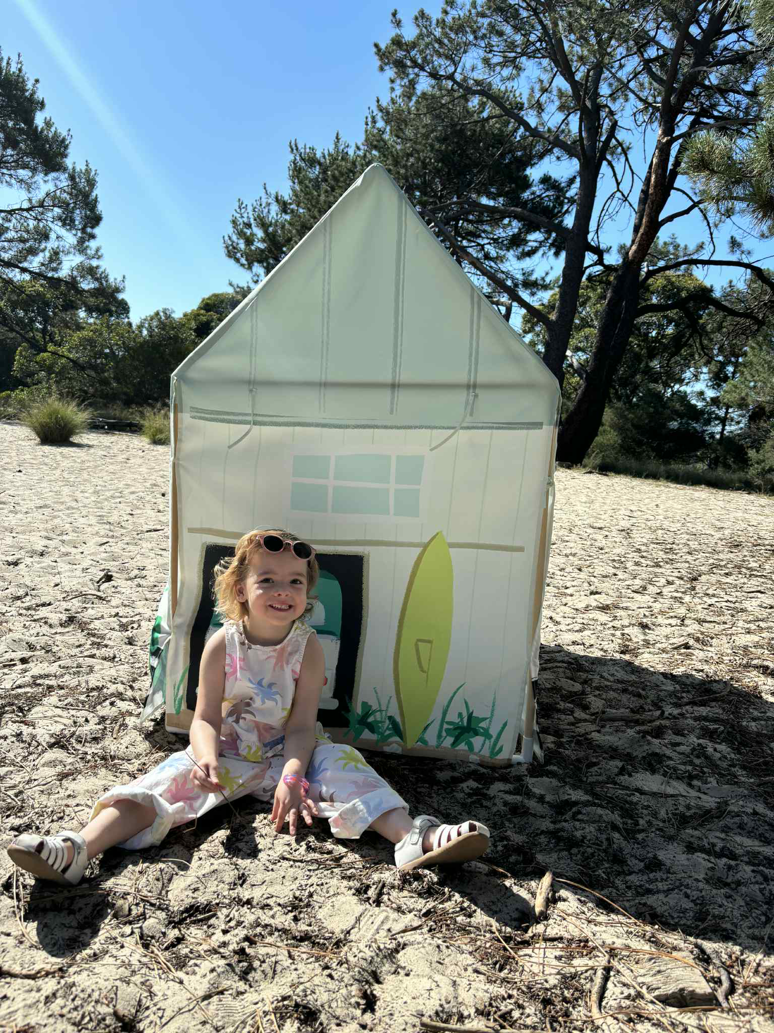 Flippi Surf Shack Tent Cover